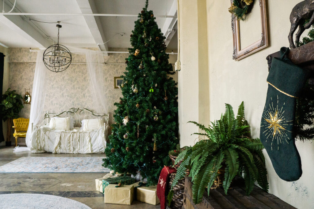 Top Christmas Photo Studios in Los Angeles: Capturing Holiday Magic -