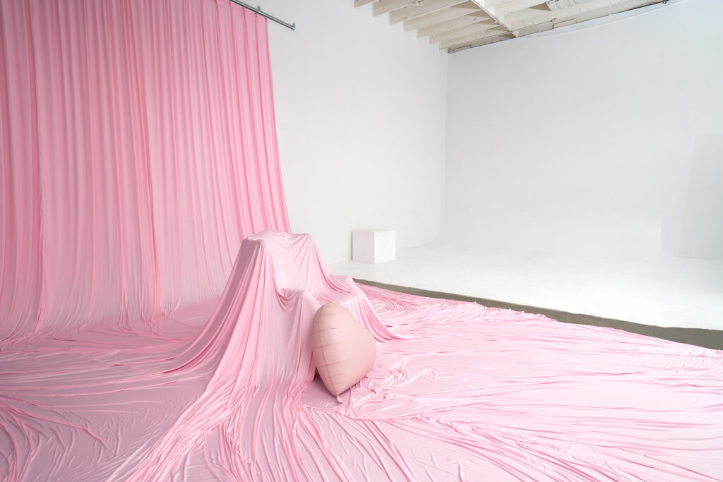 Valentine's Day Photo Studio in Los Angeles- Extra Large Pink Backdrop -