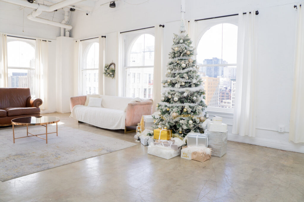 Christmas Photo Mixer in Los Angeles | FD Photo Studio