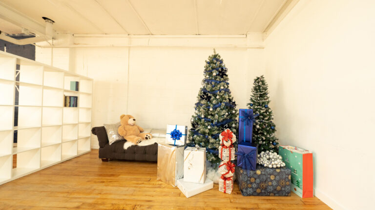 Astoria 5_Daylight Brooklyn Apartment Loft Photo Studio with Christmas Tree Decorations in NY_01 Astoria 5_Daylight Brooklyn Apartment Loft Photo Studio with Christmas Tree Decorations in NY_01