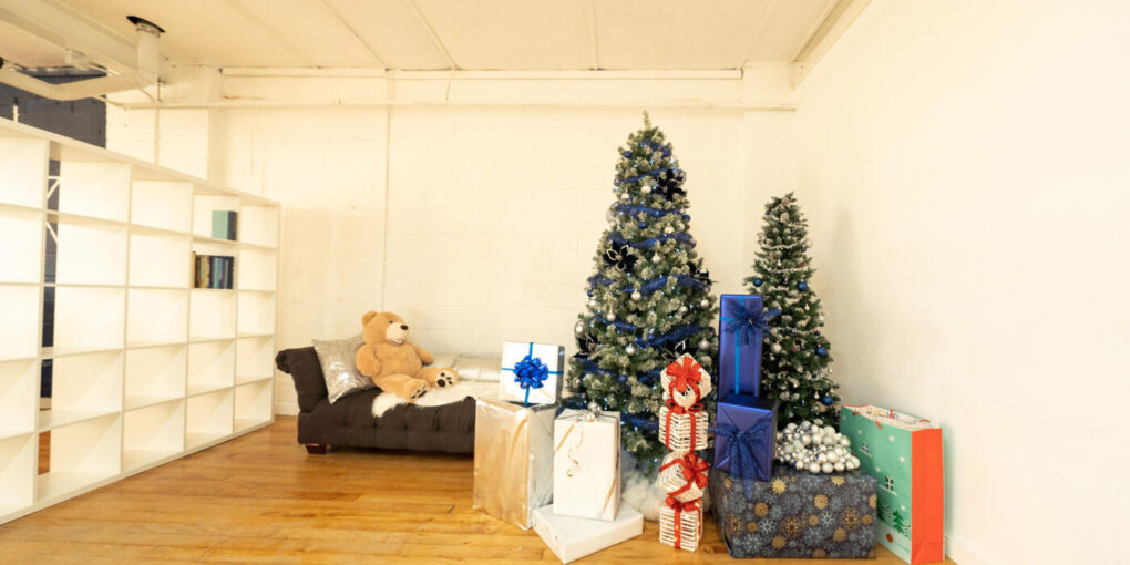 Astoria 5_Daylight Brooklyn Apartment Loft Photo Studio with Christmas Tree Decorations_01