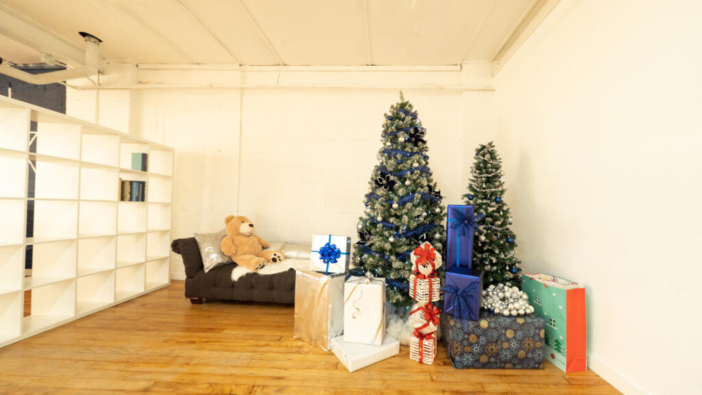 Astoria 5_Daylight Brooklyn Apartment Loft Photo Studio with Christmas Tree Decorations in NY6