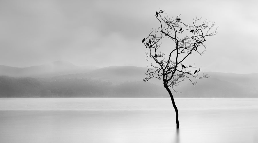 15+ Photography Types for All Skill Level -Photoshoot, FD photo studio, blog