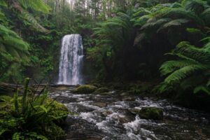 landscape photography landscape photography
