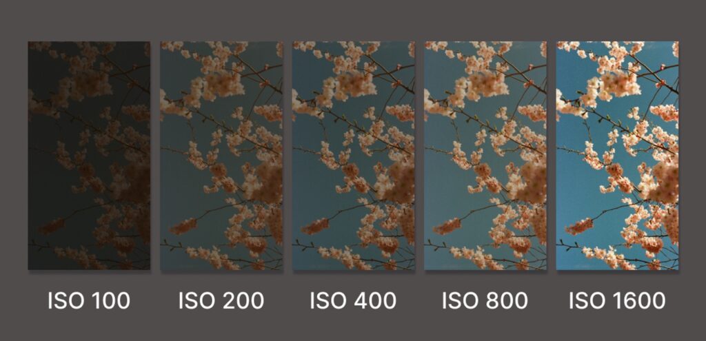 The Exposure Triangle Explained: ISO, Shutter Speed, and Aperture -