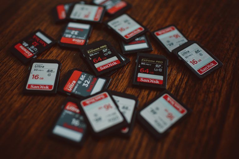 RAW vs. JPEG: Which Format Should Photographers Use? -