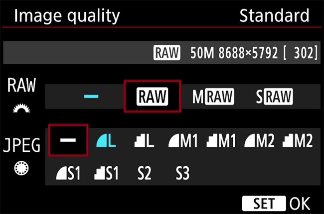 RAW vs. JPEG: Which Format Should Photographers Use? -