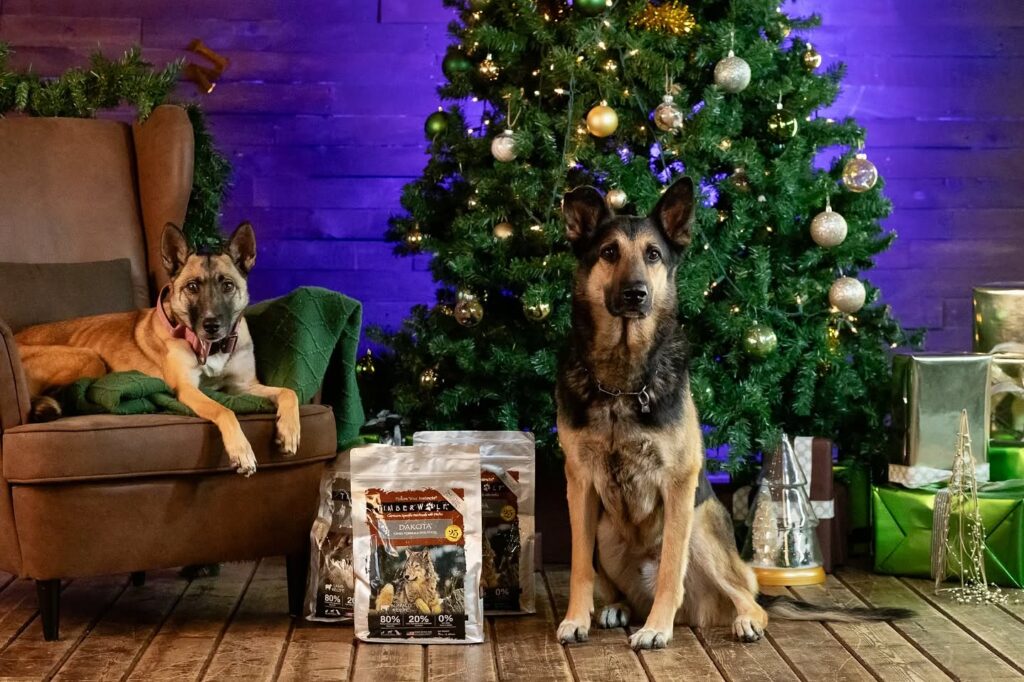 Holiday Christmas Ideas for Families, Couples & Creators -