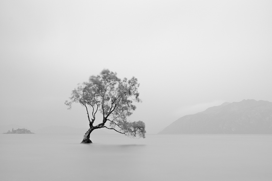 Negative Space: Why Empty Space Makes Images Stronger? -
