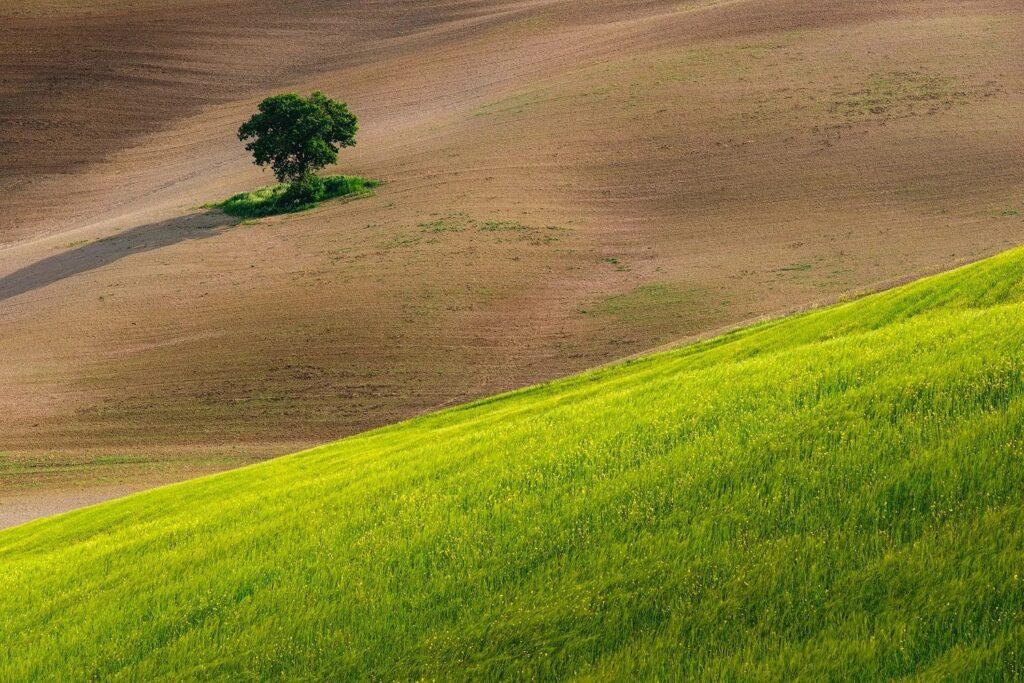 Negative Space: Why Empty Space Makes Images Stronger? -