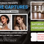 Creature Captures – Group Shoot with Exotic Animals in NY